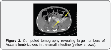 Click here to view Large Image 2