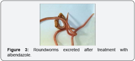 Click here to view Large Image 3