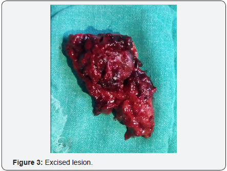 Click here to view Large Image 3