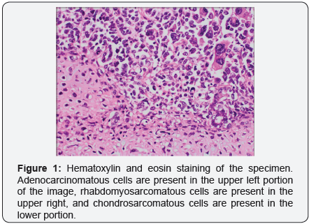 Click here to view Large Image 1
