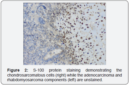 Click here to view Large Image 2