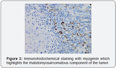 Click here to view Large Image 3
