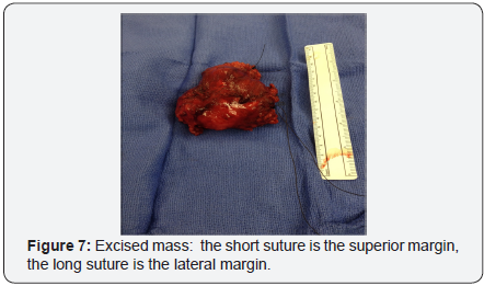 Click here to view Large Image 7