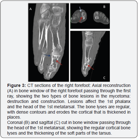 Click here to view Large Image 3