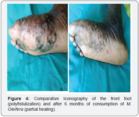 Click here to view Large Image 4