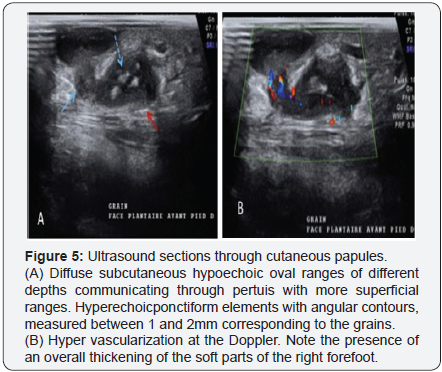 Click here to view Large Image 5