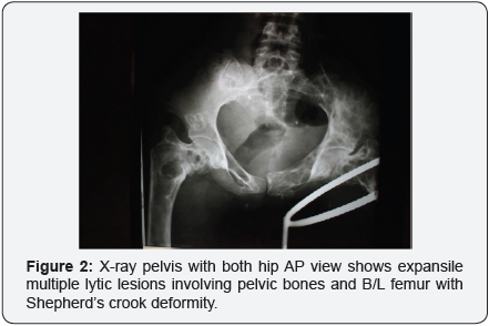 Click here to view Large Image 2