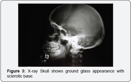 Click here to view Large Image 3