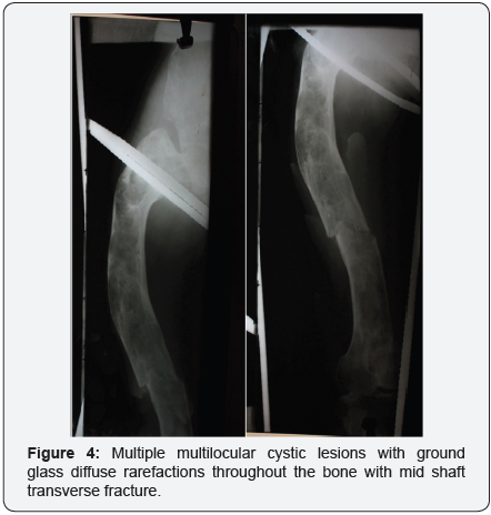 Click here to view Large Image 4