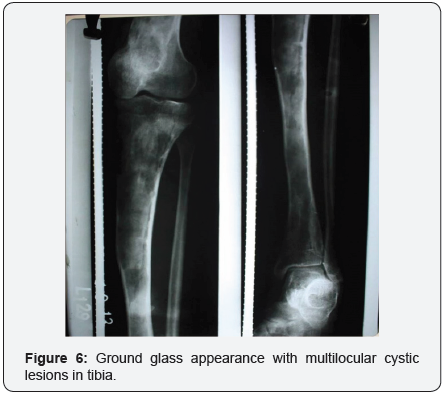 Click here to view Large Image 6