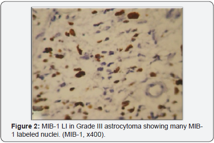 Click here to view Large Image 2