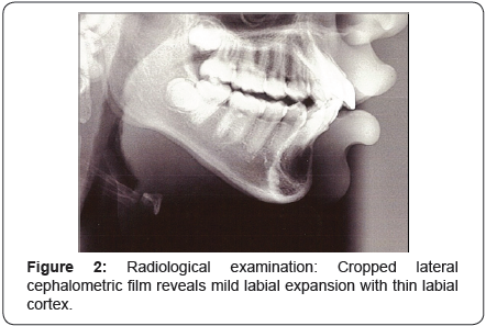 Click here to view Large Image 2