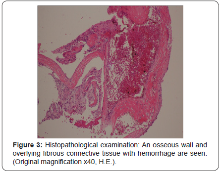 Click here to view Large Image 3