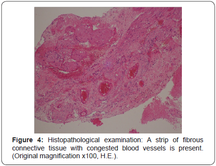 Click here to view Large Image 4