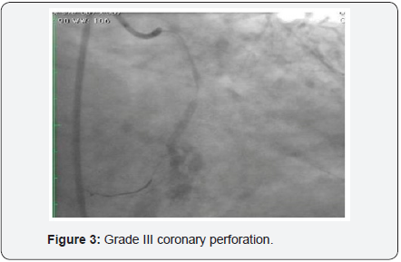 Click here to view Large Image 3