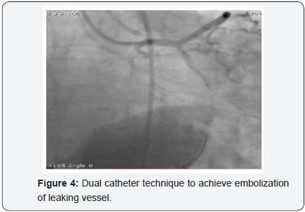 Click here to view Large Image 4