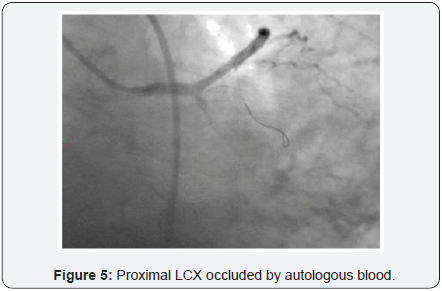Click here to view Large Image 5