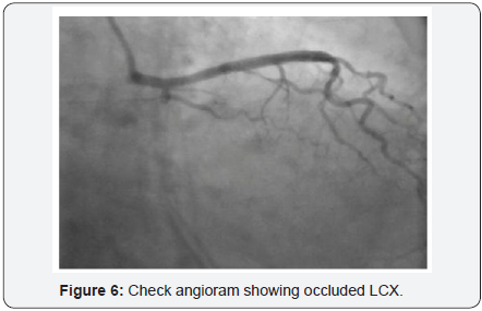 Click here to view Large Image 6