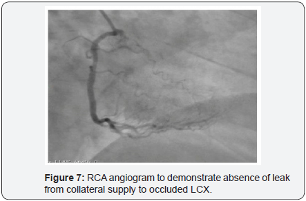 Click here to view Large Image 7