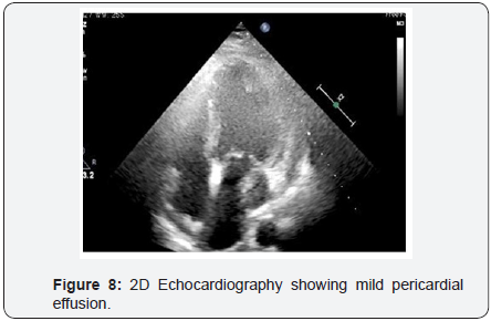 Click here to view Large Image 8