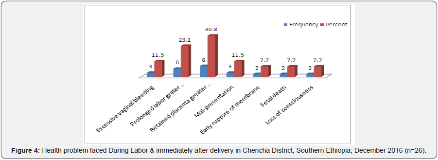 Click here to view Large Image 4