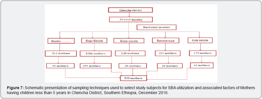 Click here to view Large Image 7