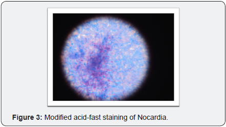 Click here to view Large Image 3