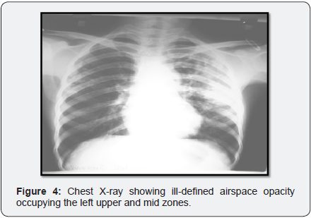 Click here to view Large Image 4