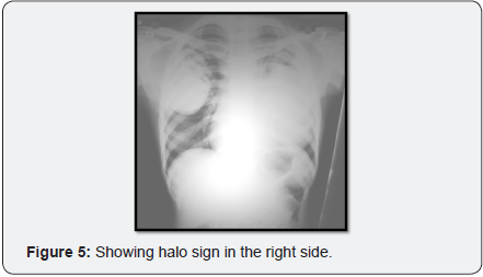 Click here to view Large Image 5