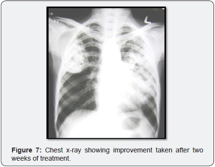 Click here to view Large Image 7