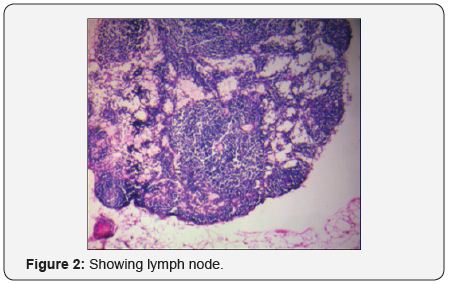 Click here to view Large Image 2