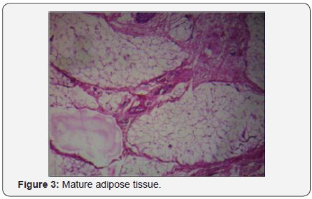 Click here to view Large Image 3