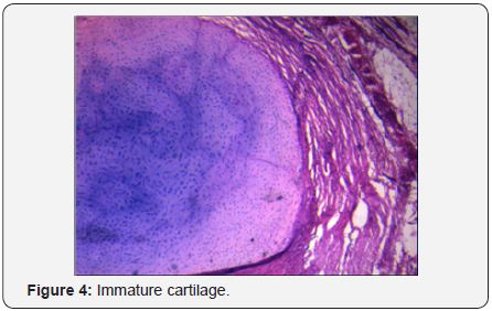 Click here to view Large Image 4