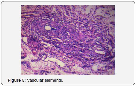 Click here to view Large Image 5