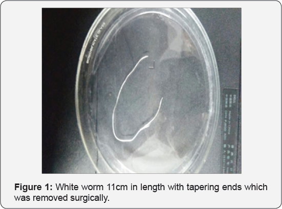 Click here to view Large Figure 1