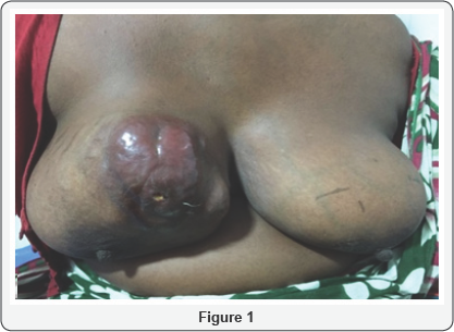 Click here to view Large Figure 1