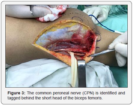 Click here to view Large Image 3