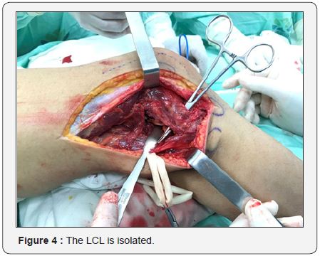 Click here to view Large Image 4