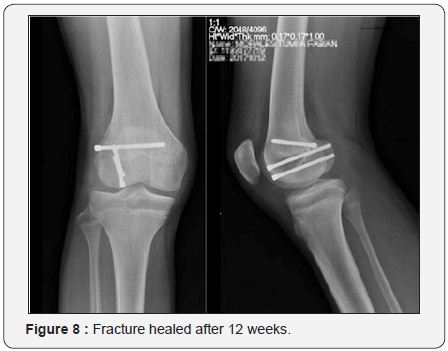 Click here to view Large Image 8