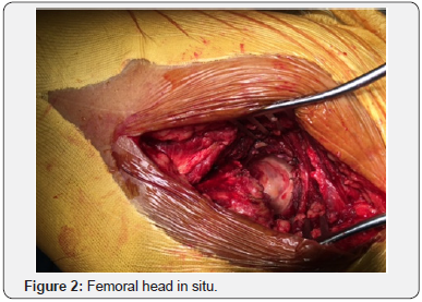 Click here to view Large image 2