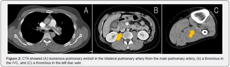 Click here to view Large Figure 2