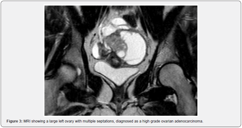 Click here to view Large Figure 3
