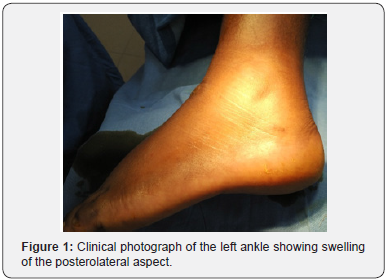 Click here to view Large Figure 1