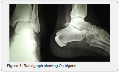 Click here to view Large Figure 2