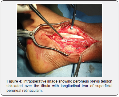 Click here to view Large Figure 4