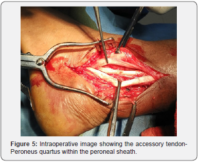 Click here to view Large Figure 5