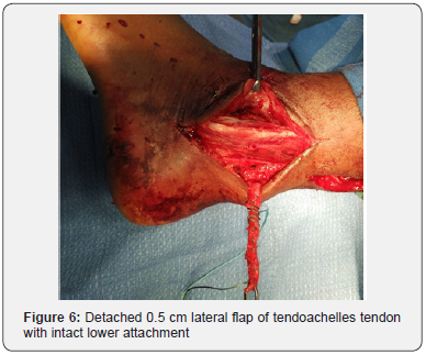 Click here to view Large Figure 6