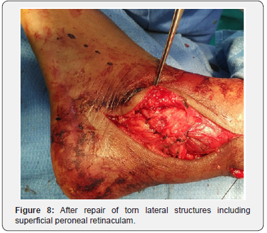 Click here to view Large Figure 8