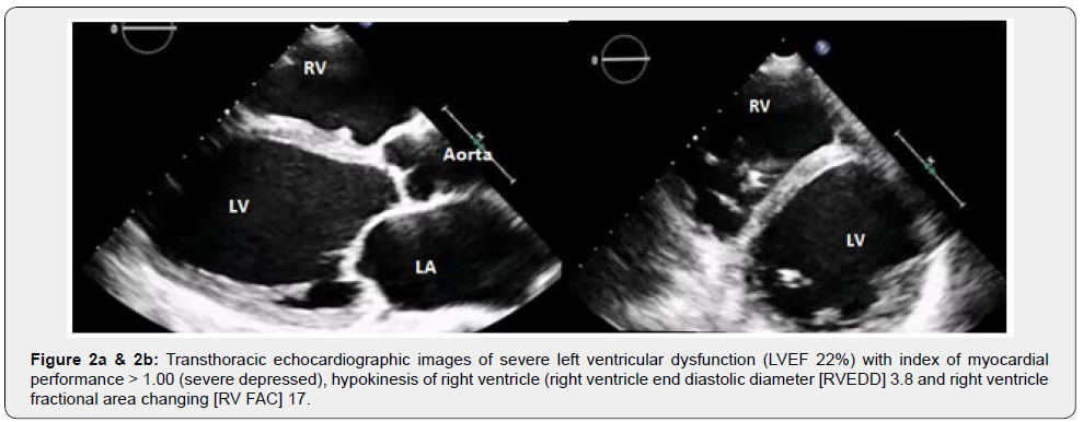 Click here to view Large Figure 2a & 2b