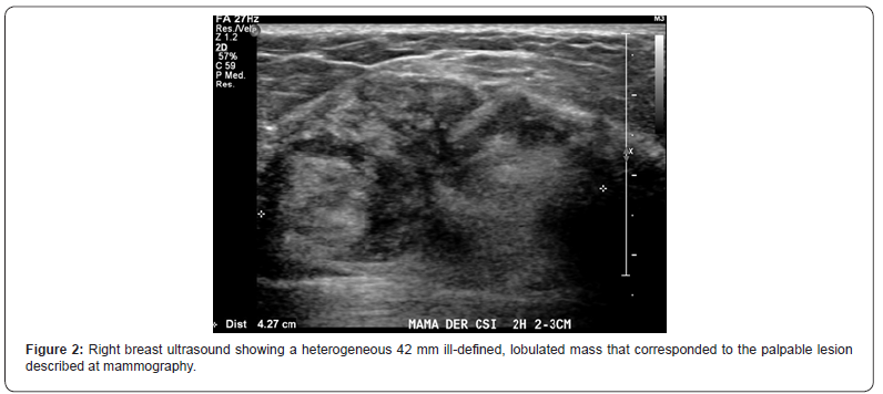 Click here to view Large Figure 2